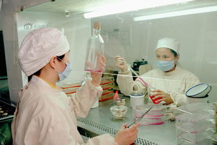 疫苗在中國 從傳統(tǒng)預防到現(xiàn)代醫(yī)學研究與試驗的發(fā)展軌跡